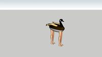 Goose With Legs