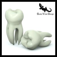 Molar Tooth 3D Model