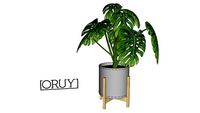 Cachepo Oruy