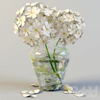 Светлые цветы в вазе
