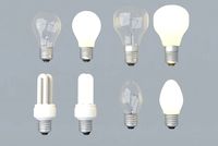 Lightbulb Collection 3D Model
