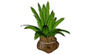 Cachepot de tecido com samambaia