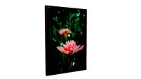 Flores Tropicais 1820 - Lu Oliari