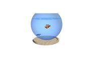 POISSON ROUGE