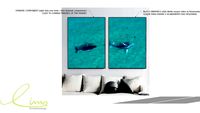Conjunto com 2 quadros decorativos Baleias - Paola Cury
