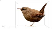 ROCKIT3D Animal 0018 bird 2