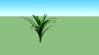 Pandan Wangi