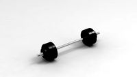 Weights 3D Model