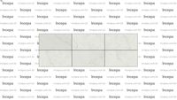 INCEPA - LM CALACATA AC 60X120R