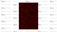 ROCA - LM FIRE 120X250 R