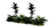 PLANTAS SOBRE PATULA T3