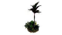 PLANTAS SOBRE PATULA T2