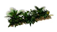 PLANTAS SOBRE PATULA T1