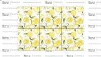 ROCA - RV OLARIA JUICE 15,4X15,4