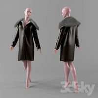 Jacket with fur collar
