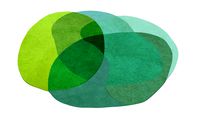 Round Green Multicoloured Area Rug