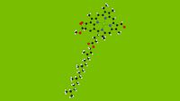 Chlorophyll-d