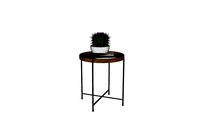 End table and pot plant Cactaceae