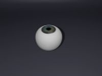 Eye 3D Model