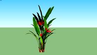 Bird of Paradise (01)