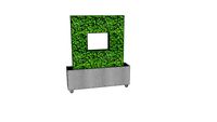 Boxwood Hedge Planter