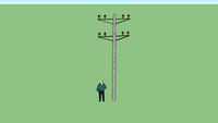 Pole