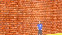 BRICKS WALL POROTON REALISTIC SEAMLESS TEXTURE FOR BUILDING CM 19X25X30