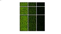 Moss Green Wall Panels - Bio Canvas by Nevins