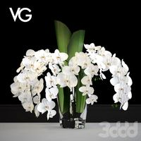 Декоративная композиция из орхидей VG