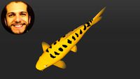 Carpa Koi Ogon Matsuba - Nishikigoi - Curso Desenho de Lagos com SketchUp