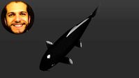 Carpa Koi Hajiro - Nishikigoi - Curso Desenho de Lagos com SketchUp