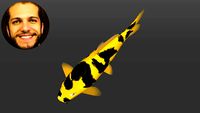Carpa Koi Ki Utsuri - Nishikigoi - Curso Desenho de Lagos com SketchUp