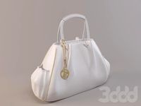 Armani handbag