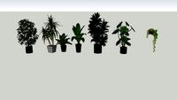 Plants indoor GHD