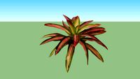 Bromelia Merah