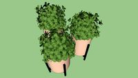 MINI CACHEPOT