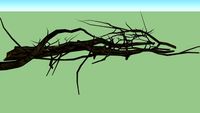 umgefallener toter baum