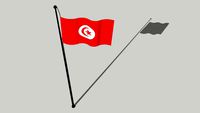 Flag of Tunisia - علم تونس