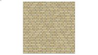 ROCKIT3D Nelissen Rubio WF50 (c02 medium; irregular; standard)