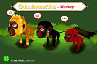 Cute Animal Pet (Monkey)