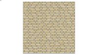 ROCKIT3D Nelissen Fiore WF50 (c02 medium; irregular; standard)