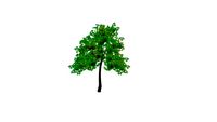 4 Scaleable Trees