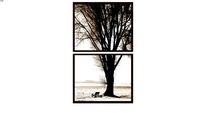 Kit 2 Quadros Árvore Inverno