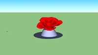 Rose Head