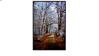 Quadro Paisagem Inverno