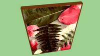 Pianta