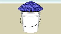 Carnation Bucket