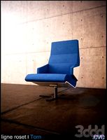 torn ligne roset