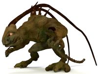 Lizard Creature 3D Model