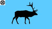 Elk Silhouette